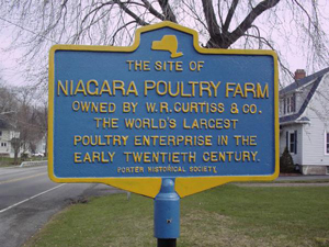 The Niagara Poultry Farm of Ransomville